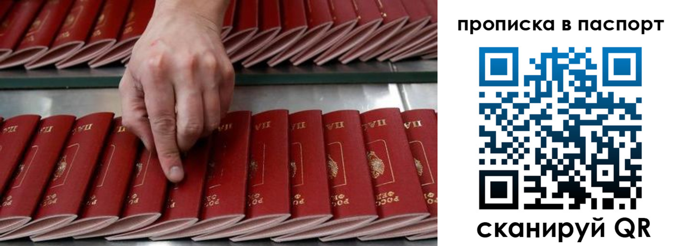 регистрация для школы в Чапаевске